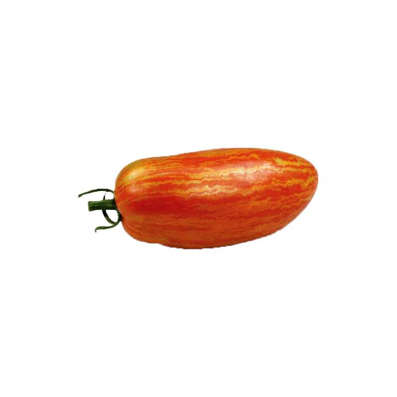 TOMATE ROMA ZEBRA KG